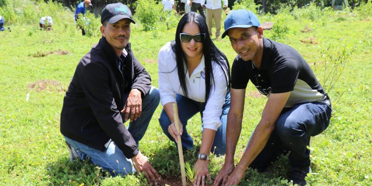Coraasan impulsa protección de los recursos hídricos con jornada de reforestación en Jarabacoa