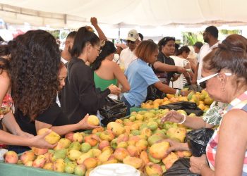 Expo Mango 2026 fortalece su liderazgo como plataforma de negocios e innovación agroindustrial