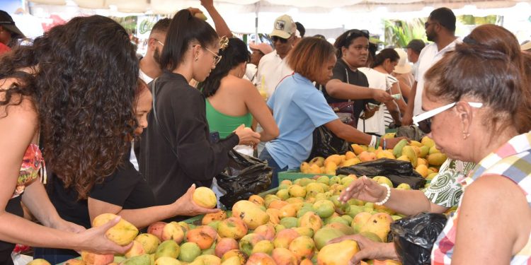 Expo Mango 2026 fortalece su liderazgo como plataforma de negocios e innovación agroindustrial