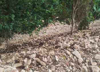Propietario demanda a COGUSA y al MOPC por alegados daños en terrenos de la carretera Polo-El Higüero