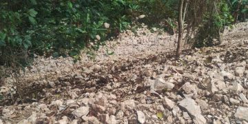 Propietario demanda a COGUSA y al MOPC por alegados daños en terrenos de la carretera Polo-El Higüero