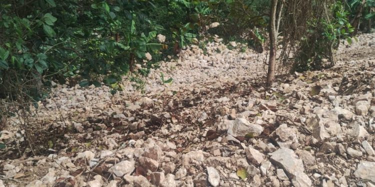 Propietario demanda a COGUSA y al MOPC por alegados daños en terrenos de la carretera Polo-El Higüero