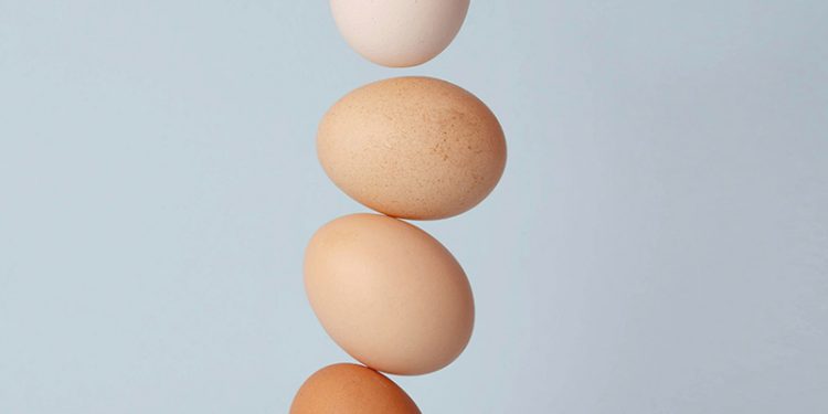 ¿Cuántos huevos puede consumir una persona que entrena fuerza?