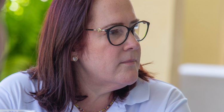Yanet Camilo afirma que las acciones del PRM fortalecen a la oposición de cara al 2028