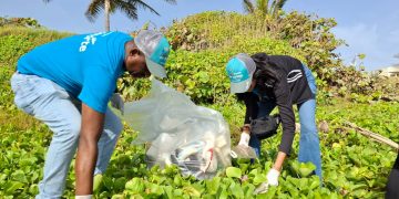EDENORTE recolecta 1,500 libras de desechos en jornada de limpieza de playa en Puerto Plata