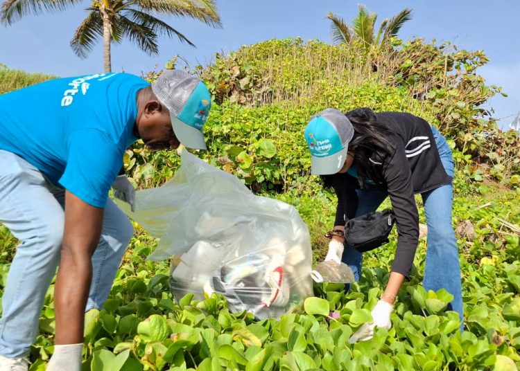 EDENORTE recolecta 1,500 libras de desechos en jornada de limpieza de playa en Puerto Plata