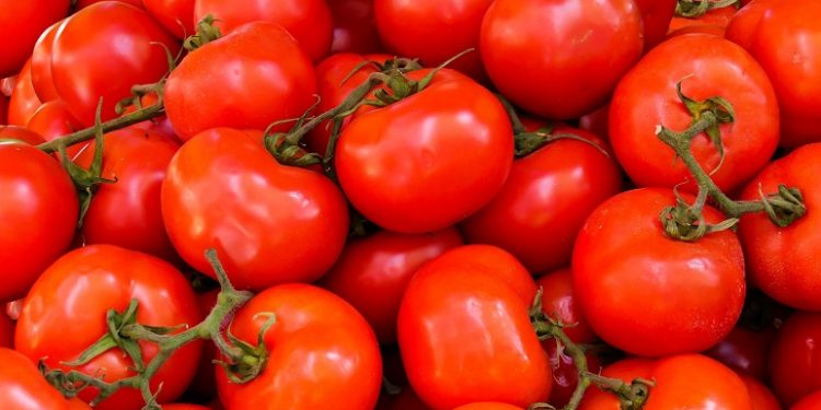 El tomate: un alimento versátil y nutritivo presente en la mesa diaria