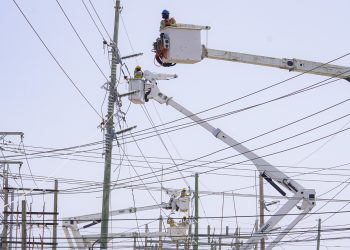 ETED intervendrá seis líneas de 69 kV con trabajos de mantenimiento y renovación