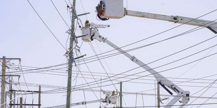 ETED intervendrá seis líneas de 69 kV con trabajos de mantenimiento y renovación