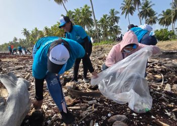 EDENORTE moviliza voluntarios para retirar desechos de playa Boca de Nagua