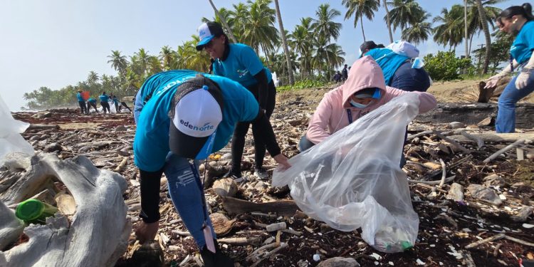 EDENORTE moviliza voluntarios para retirar desechos de playa Boca de Nagua