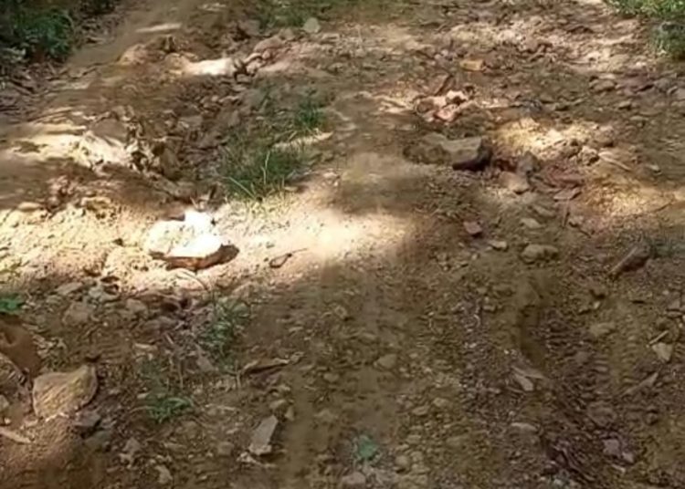 Comunitarios de La Peñita reclaman terminación de su única vía en San Francisco de Jacagua