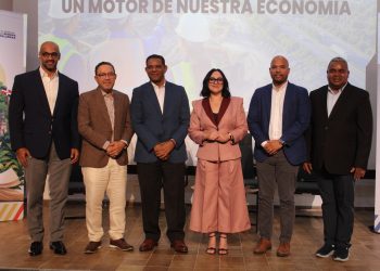 Minería bajo la lupa: expertos destacan su peso en la economía dominicana y los retos para crecer de forma sostenible