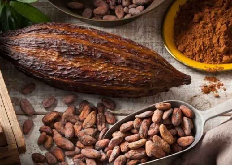 Santiago se prepara para celebrar la sexta edición del Festival del Chocolate Dominicano